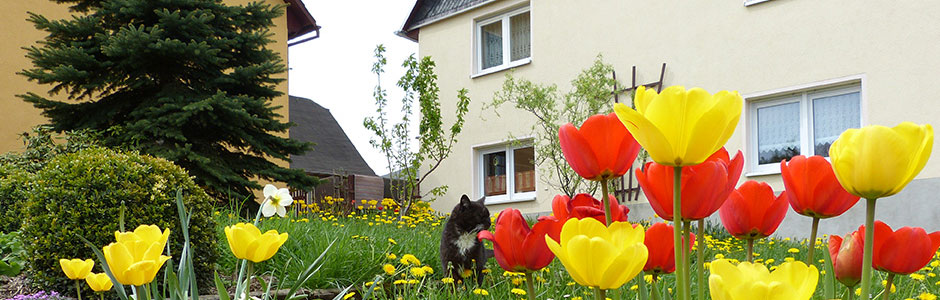 Außenansicht im Sommer