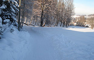 Rodelbahn hinter dem Haus